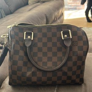 louis vuitton purse